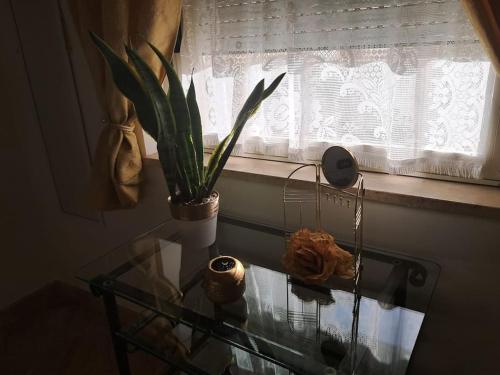 a plant sitting on a window sill next to a glass table at CasaLina Apartment in Manduria