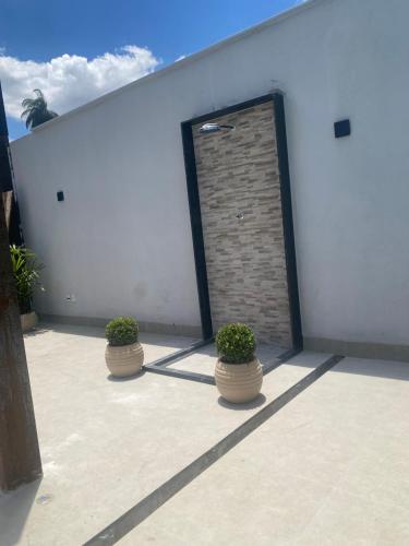 three potted plants sitting in front of a garage at Espaço de festas e Hospedagem Cintia Lima in Betim