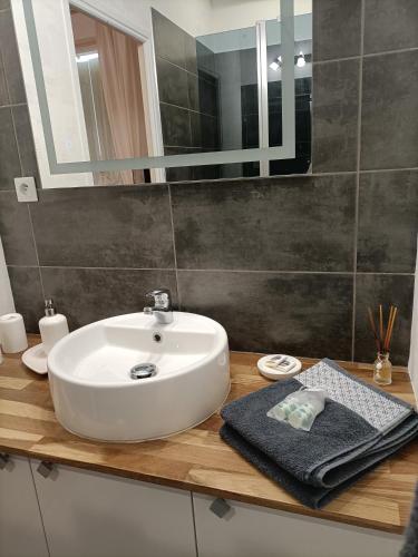 a bathroom with a white sink and a mirror at Les Volets Verts in Saint-Antonin-Noble-Val