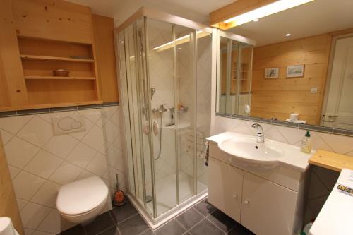 a bathroom with a shower and a toilet and a sink at Fauvettes in Chateau-d'Oex