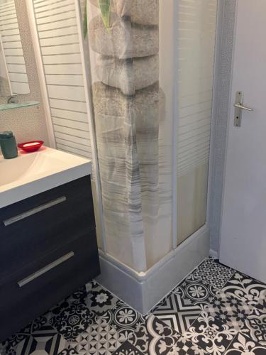 une douche avec une porte vitrée dans une salle de bain dans l'établissement F2 - Front de Mer - Les Pieds Dans l'Eau - Appartement Situé à Saint-Cyprien Plage Sud - 30M Mer et Plage - et Non 500M- Avec Une Belle Vue sur Mer Depuis la Terrasse - Piscine - Parking Privatif - 4 Personnes, à Saint-Cyprien