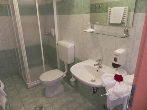 uma casa de banho com um WC e um lavatório em Motel Majolka em Ptuj