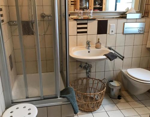 a bathroom with a shower and a sink and a toilet at Haus Westfeld in Schmallenberg