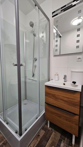 un baño con ducha y lavabo en Studio New York hypercentre Reims, en Reims