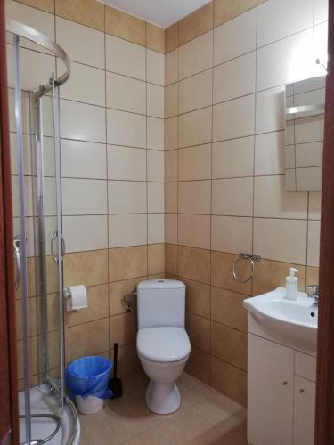 a bathroom with a toilet and a sink at Pokoje u Iwonki - Barzowice in Barzowice