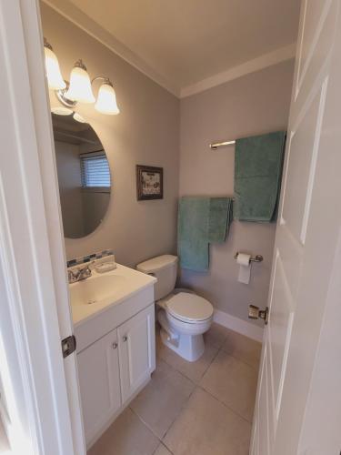 a bathroom with a toilet and a sink and a mirror at Cottage on Walking Distance To Nokomis Beach in Nokomis