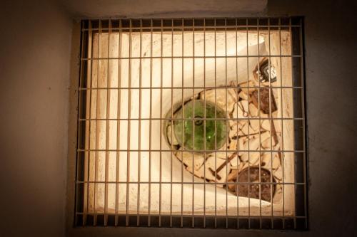 a wire cage with some objects in it at G home in Fasano