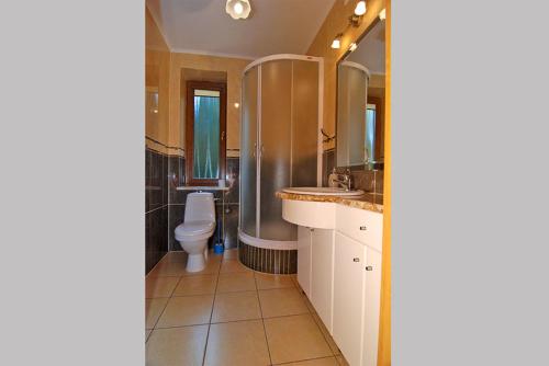 a bathroom with a toilet and a sink and mirror at Willa Bursztynowa 3 in Poddąbie