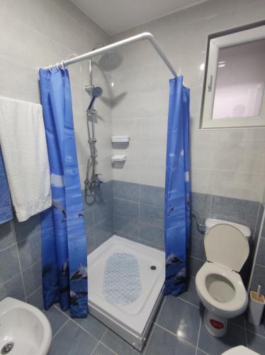 a bathroom with a shower with a toilet and a sink at Apartman Kaoma in Soko Banja