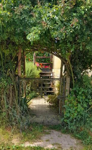 an archway with a bench in a garden with flowers at Guernazelles in Le Controis En Sologne