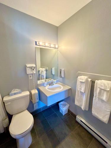 a bathroom with a toilet and a sink and a mirror at Motel de l'Anse a l'Eau in Tadoussac