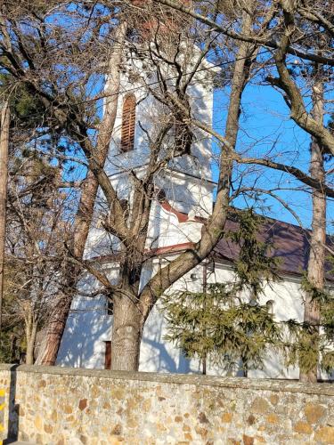 a white building with a tree in front of it at J2Velence Apartman in Velence