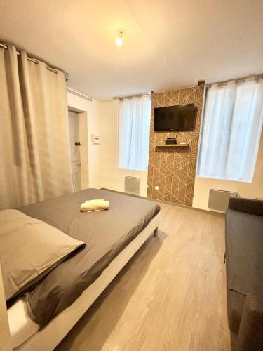 une chambre avec un lit et une télévision à écran plat dans l'établissement appart' de la ville, à Saint-Étienne