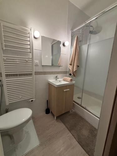 La salle de bains est pourvue d'un lavabo et d'une douche. dans l'établissement appart' de la ville, à Saint-Étienne