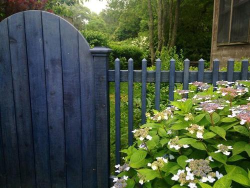 a blue fence with a bunch of flowers at 4BR 3BA Hot Tub Media room Weekly rates in Montauk