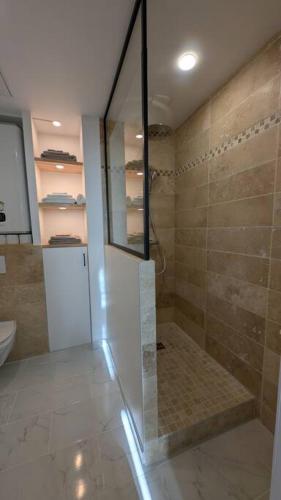 une salle de bain avec douche et toilettes dans l'établissement App 24 Appartement de caractère, à Vitré
