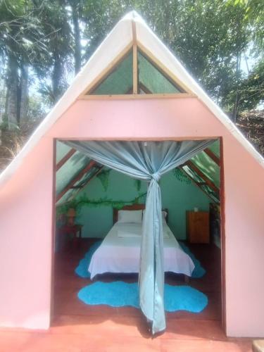 Gambar di galeri bagi Pirate Drake Beach Hostel & Tour company di Drake