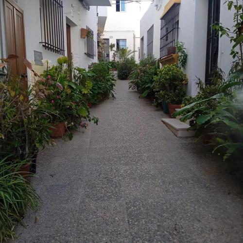 apartamento abril con terraza
