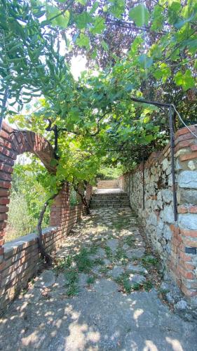 Fotografie z fotogalerie ubytování Villa Mugs v destinaci Tirana
