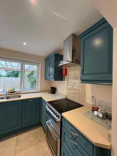 a kitchen with blue cabinets and a stove top oven at 6 Eyre Square Lane in Galway