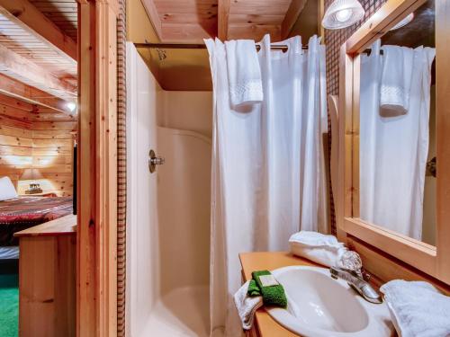セバービルにあるCabin Fever #117のシャワー、洗面台、浴槽を備えたバスルーム