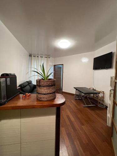 - un salon avec une table et une plante dans l'établissement Appartement calme paris, à Paris