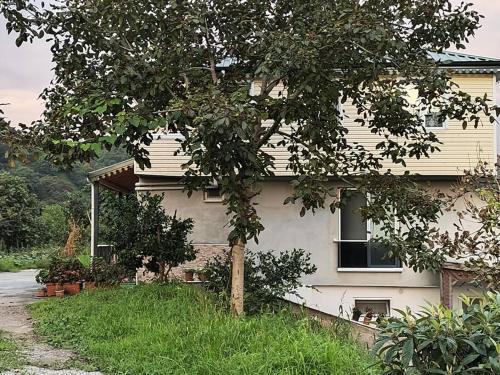 Fotografie z fotogalerie ubytování UMUT Apart v destinaci Ardeşen