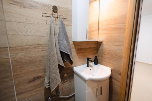 a bathroom with a toilet and a sink and a shower at Tara Apartments in Kolašin