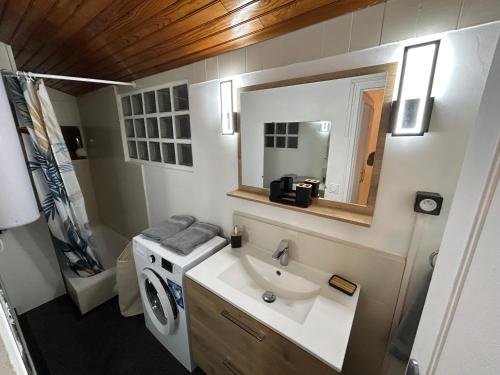 une salle de bain avec un lavabo et une machine à laver dans l'établissement Maison athis-mons, à Athis-Mons