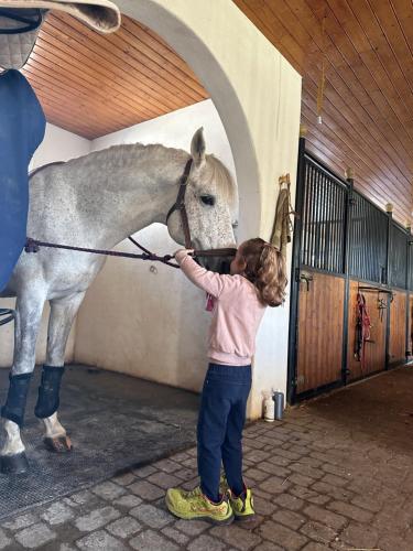 Une petite fille pète un cheval blanc dans l'établissement Mobilhome dans écrin de verdure, à Greffeil