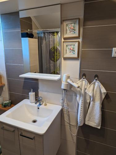 a bathroom with a sink and a hair dryer at Ferienwohnung Luna mit Pool in Brinje