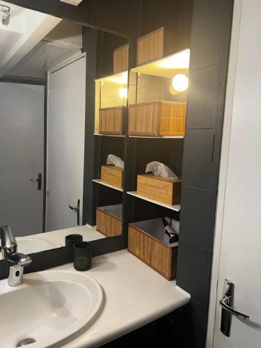 La salle de bains est pourvue d'un lavabo et d'une étagère avec des caisses. dans l'établissement Le St Pierre Face au Château Appart in Nantes, à Nantes