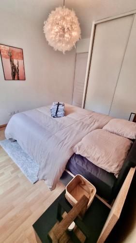 Cosy family spa Strasbourg center