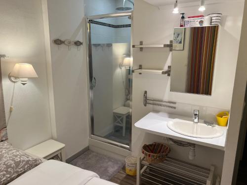 une petite salle de bain avec un lavabo et une douche dans l'établissement Duplex Les Oyats, à Le Touquet-Paris-Plage