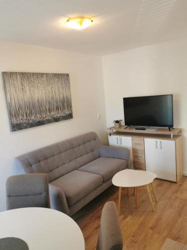 TV a/nebo společenská místnost v ubytování Apartment Tonio - right on the main square