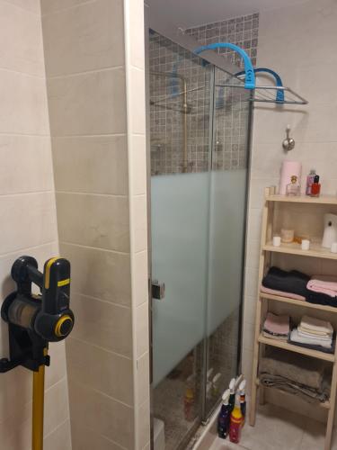 une douche avec une porte vitrée dans une salle de bain dans l'établissement Cosy appartement proche Paris, au Blanc-Mesnil
