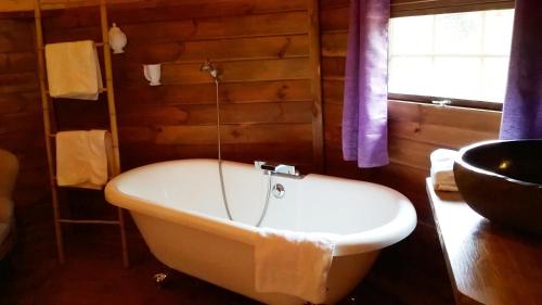 a bath tub in a bathroom with a wooden wall at Domaine De La Boulaie in Treize-Vents