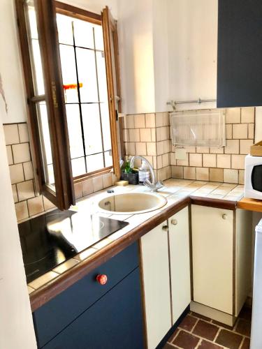 a small kitchen with a sink and a microwave at Studio cœur de ville in Auxerre