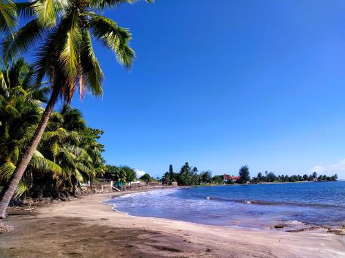 a beach with palm trees and the ocean at TAHITI - Matavai Bay Spirit in Arue