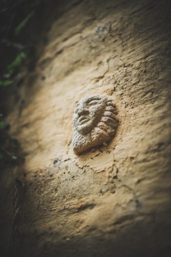 a rock sitting on top of a dirt floor at Lush Atitlán in San Marcos La Laguna