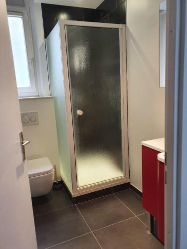 une salle de bain avec douche et toilettes dans l'établissement Flat Sainte Anne Lille, à Lille