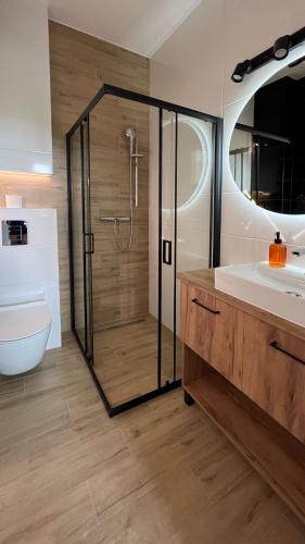 a bathroom with a shower and a sink at Apartamenty Kopernika 10 in Frombork