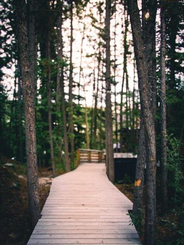 a wooden boardwalk in the middle of a forest at Black Spruce - Orange Door in Whitehorse