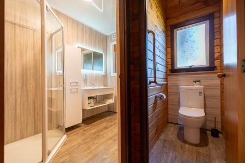a bathroom with a toilet and a window at Te Anau Top 10 Holiday Park and Motels in Te Anau