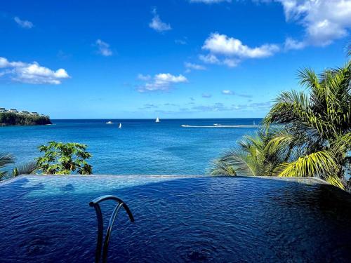 a swimming pool with a view of the ocean at Wild Serenity's Beach Villa in Castries