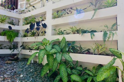 a wall of plants in front of a building at Wild Serenity's Beach Villa in Castries