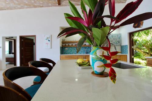 a vase with a plant sitting on a table at Wild Serenity's Beach Villa in Castries