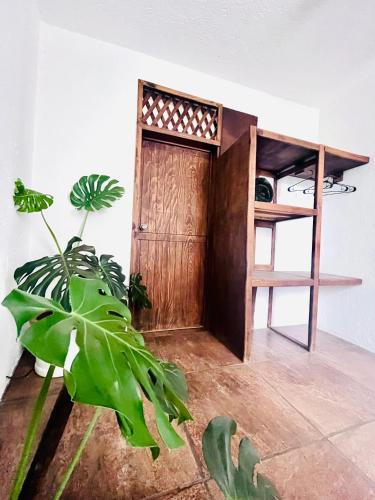Fotografie z fotogalerie ubytování Hostal Mali-bu v destinaci Malinalco