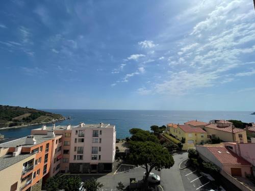 Appartement T3 à Banyuls-sur-Mer, loggia, parking sécurisé - FR-1-309-62