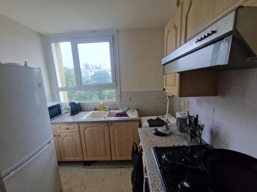 une petite cuisine avec un évier et un réfrigérateur dans l'établissement appartement entiere, à Soisy-sous-Montmorency